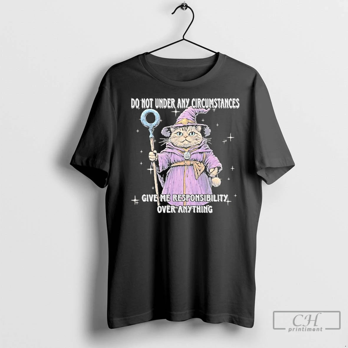 Classic Catdalf The Wizard Do Not Under Any Circumstances Give Me Responsibility Over Anything T-Shirts, Hoodie, Sweatshirt