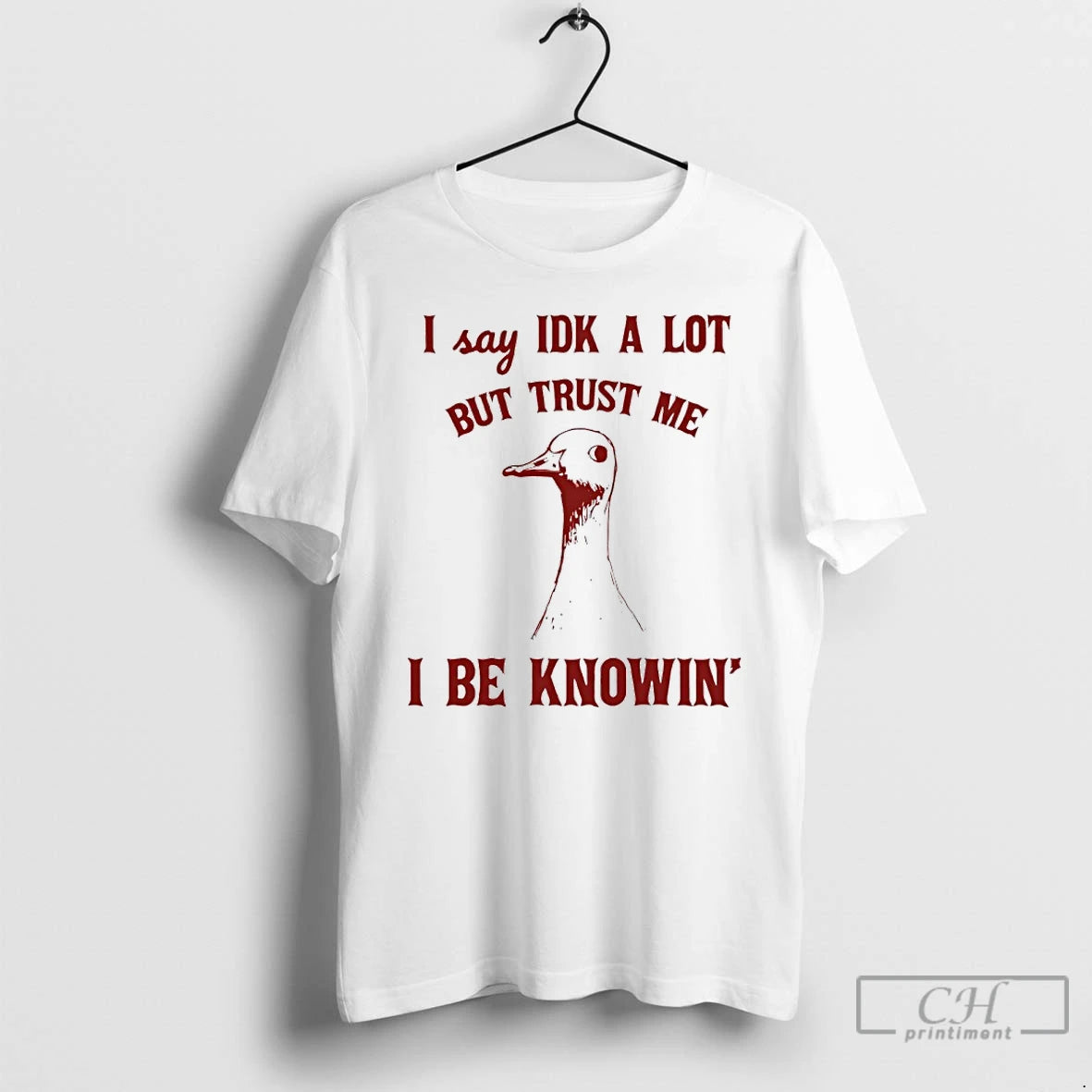 Classic Duck I Say Idk A Lot But Trust Me I Be Knowin Art T-Shirts, Hoodie, Sweatshirt | AU18TeeNovaLab.com