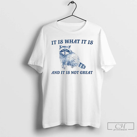 Classic It Is What It Is And It Is Not Great Raccoon T Shirts Sweater Hoodie, Sweatshirt | AU18TeeNovaLab.com
