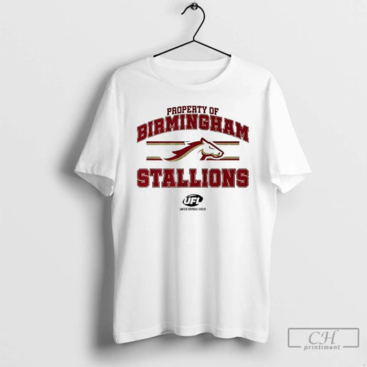 Classic Property Of Birmingham Stallions Banner Stylish T-Shirts, Hoodie, Sweatshirt | AU18TeeNovaLab.com