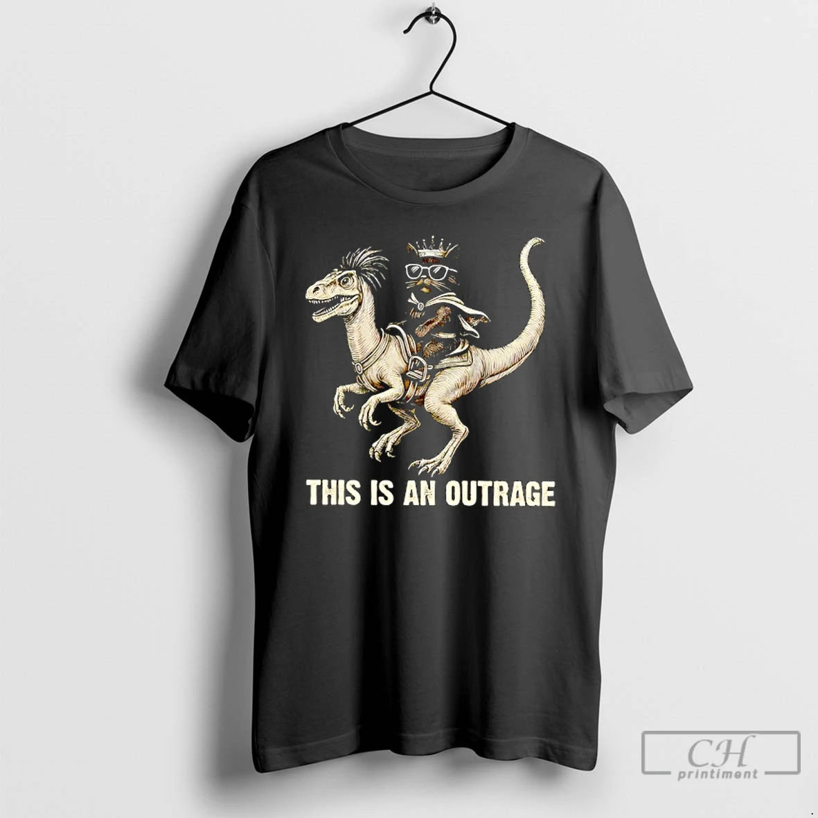 Classic This Is An Outrage For Cat Lover T-Shirts, Hoodie, Sweatshirt | AU18TeeNovaLab.com