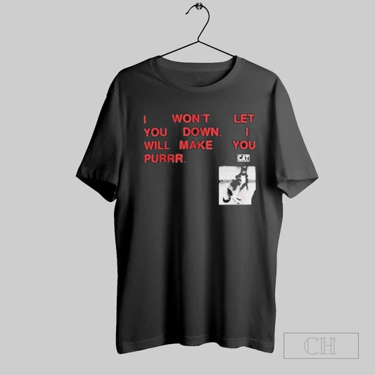 I Wont Let You Down I Will Make You Purr Cat