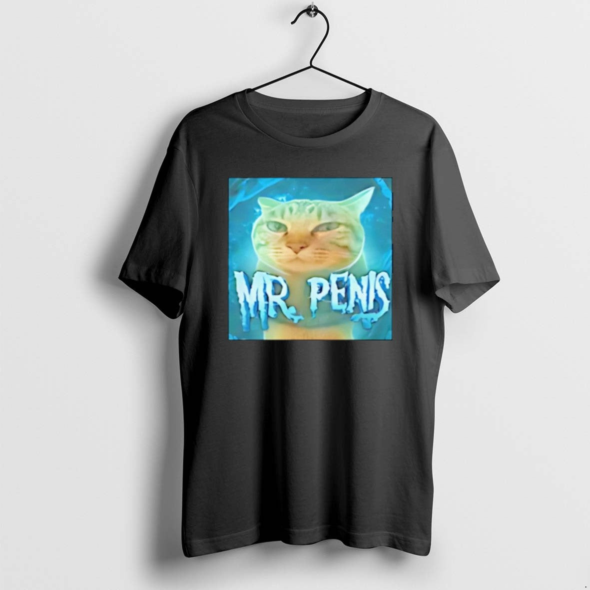 Official Mr Penis Cat Meme Christmas T-Shirts, Hoodie, Sweatshirt | AU18TeeNovaLab.com