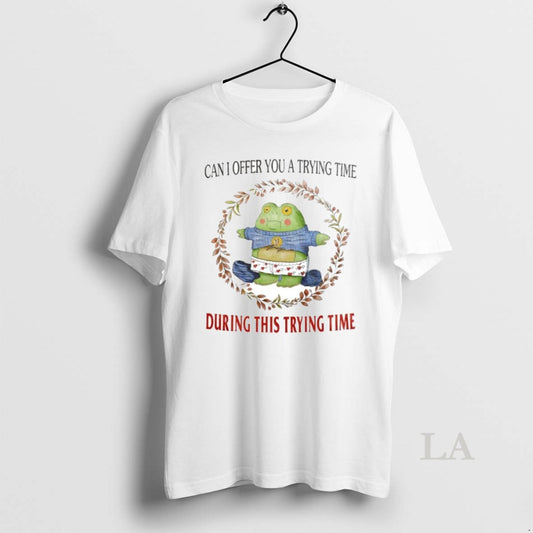 Original Can I Offer You A Trying Time During This Trying Time Ornaments