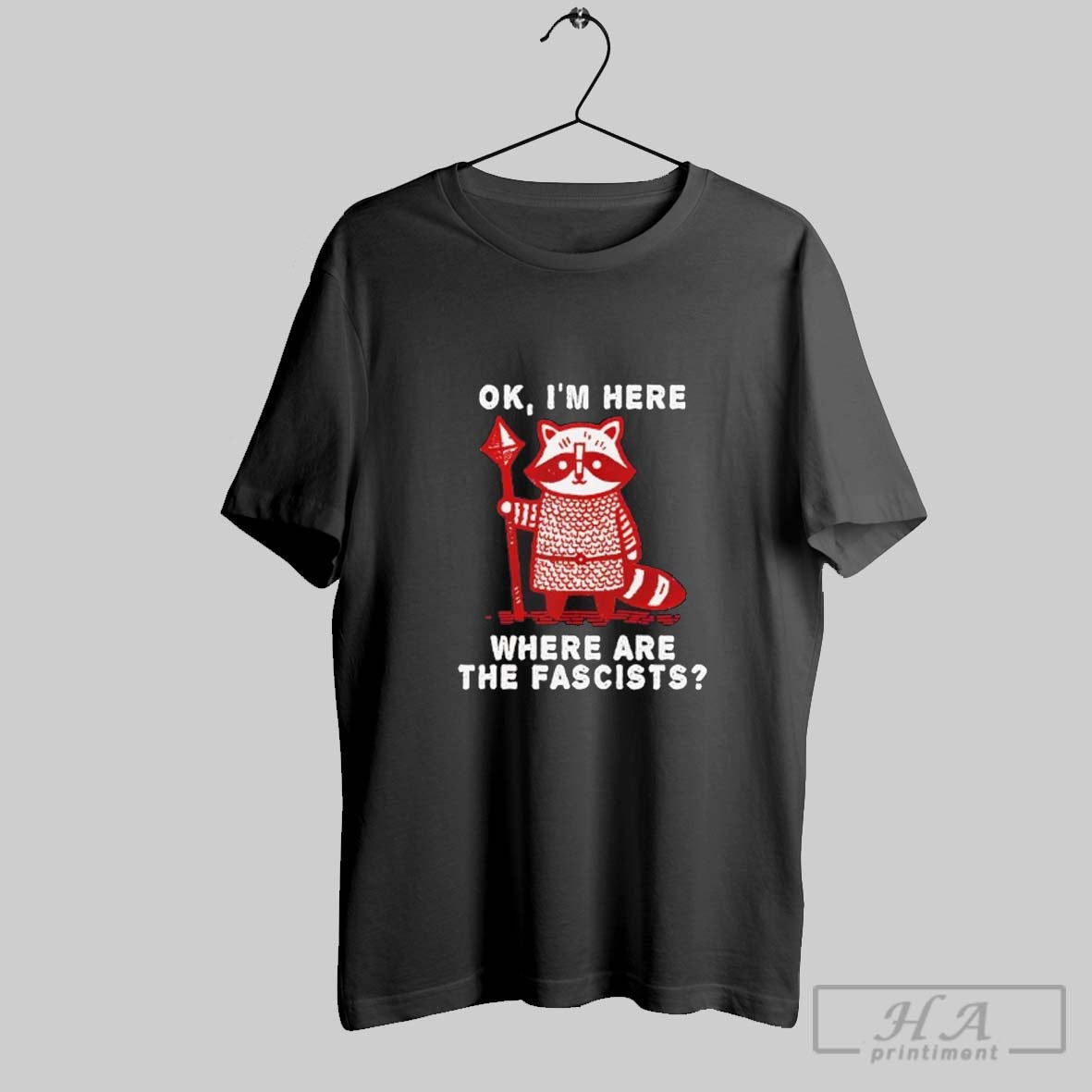 Raccoon Ok Im Here Where Are The Fascists